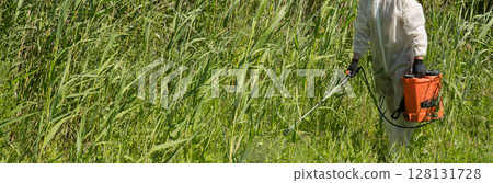 A man in a protective suit processes reeds using a poison sprayer. Weed killer. Destruction of grass, weed control A man in a protective suit processes reeds using a poison sprayer. Weed killer. Destruction of grass, weed control 128131728