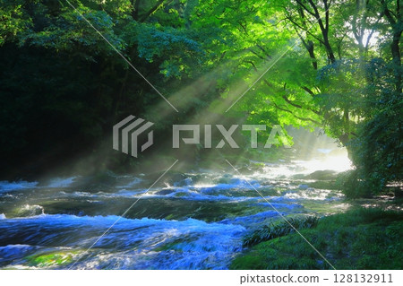 Shining fresh greenery of Kikuchi Valley (Kikuchi City) 128132911
