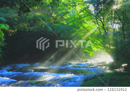 閃耀新綠的菊池溪谷（菊池市） 128132912