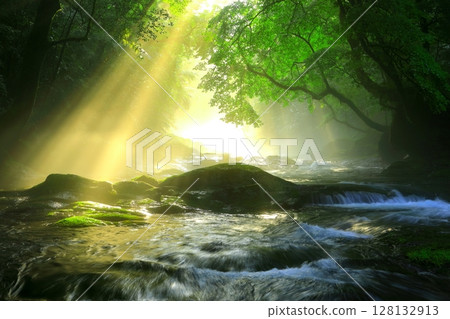 美麗光芒的菊池溪谷（菊池市） 128132913