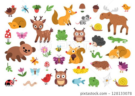 Vector woodland animal clipart set. Cute forest creature icons. Cartoon illustrations with birds, insects, fish, berry. Pack with bear, deer, fox, owl, frog, mole, hedgehog, butterfly, nest 128133078