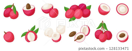 Lychee fruit. Cartoon lychee whole and half, with leaf. Exotic vitamin food for eating, smoothie, desserts. Isolated raw nutrition, neoteric vector set 128133471