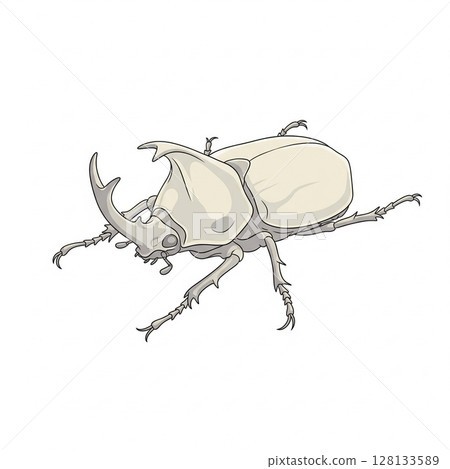 甲蟲插畫/夢幻昆蟲藝術素材 128133589