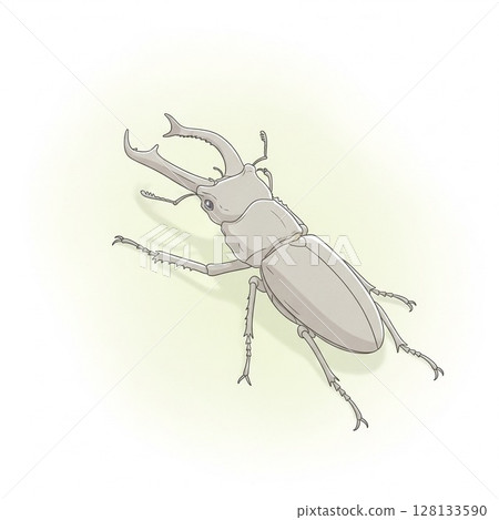 夏日森林之星的寫實主義插圖:鍬形蟲 夏日森林之星的寫實主義插圖:鍬形蟲 128133590