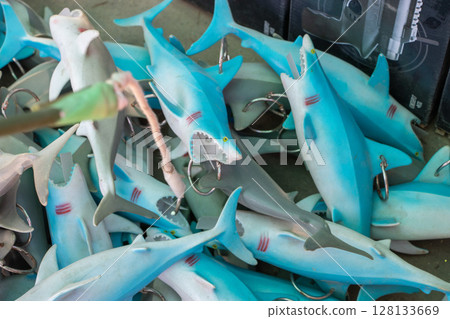 Shark Fishing 128133669