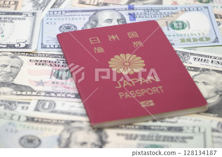 Dollar Passport 128134187