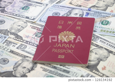 Dollar Passport 128134192