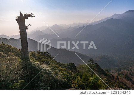 Mysterious fantasy from Taiko Rock, skeleton trees and the Yakushima Alps (winter) 128134245
