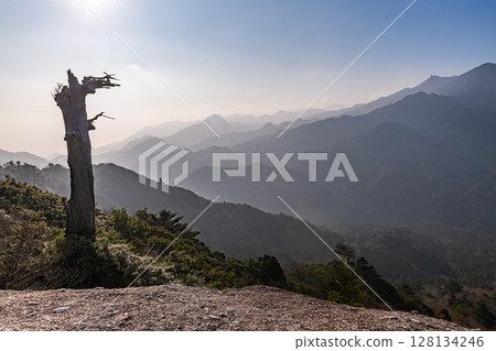 太鼓岩、骷髏樹和屋久島阿爾卑斯山的神秘幻想（冬季） 128134246