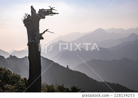 太鼓岩、骷髏樹和屋久島阿爾卑斯山的神秘幻想（冬季） 128134253
