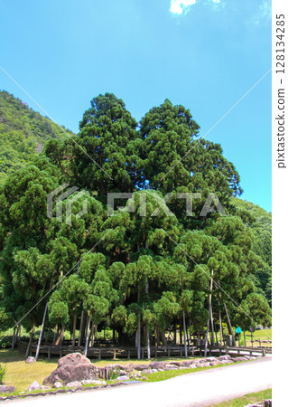 Yoshino Craft Village 128134285