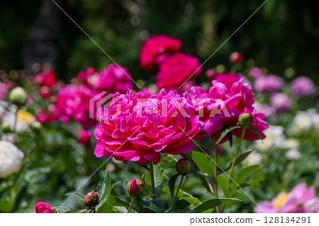 Yoshino Craft Village 128134291