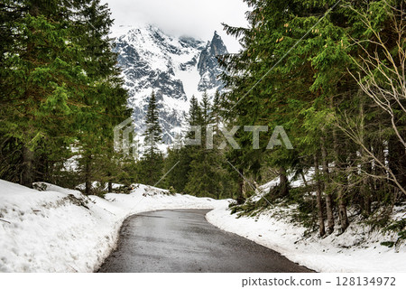 Mountain fir forest and the road near Morskie Oko Lake in Poland at Winter. Tatras mountains 128134972