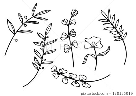 Hand drawn line art botanical leaves and flowers elements collection. 128135019