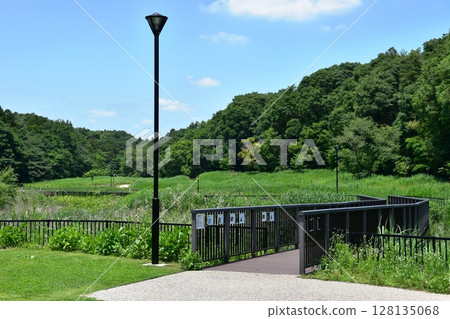 Bridge and walking path at Endo Sasakuboya Park, Fujisawa City, Kanagawa Prefecture 128135068