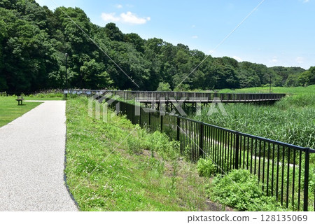 Bridge and walking path at Endo Sasakuboya Park, Fujisawa City, Kanagawa Prefecture Bridge and walking path at Endo Sasakuboya Park, Fujisawa City, Kanagawa Prefecture 128135069