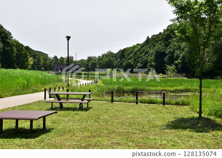Rest area and walking path at Endo Sasakuboya Park, Fujisawa City, Kanagawa Prefecture 128135074