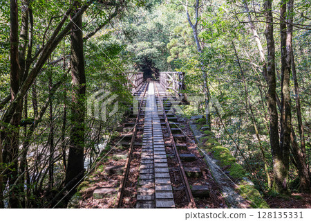 Trolley tracks and bridges in Yakushima National Park (spring) 128135331
