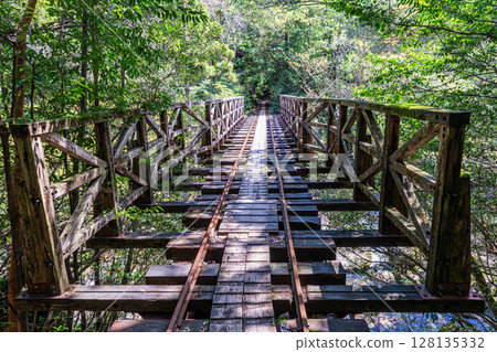 Trolley tracks and bridges in Yakushima National Park (spring) 128135332