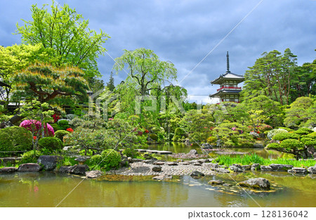 Sendai, the City of Trees, Kitayama, Rinnoji Temple, Japanese Garden, Three-story Pagoda, Azalea Sendai, the City of Trees, Kitayama, Rinnoji Temple, Japanese Garden, Three-story Pagoda, Azalea 128136042