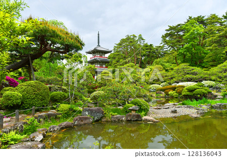 Sendai, the City of Trees, Kitayama, Rinnoji Temple, Japanese Garden, Three-story Pagoda, Azaleas, Landscape, Scenery, Early Summer, Azalea Season, Sunny, Buddhism, Building Sendai, the City of Trees, Kitayama, Rinnoji Temple, Japanese Garden, Three-story Pagoda, Azaleas, Landscape, Scenery, Early Summer, Azalea Season, Sunny, Buddhism, Building 128136043