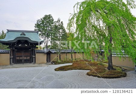 京都：高台寺，豐臣秀吉妻子的廟宇，以及前花園和皇門 128136421