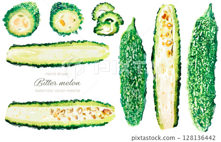 水彩畫苦瓜的插圖 水彩畫苦瓜的插圖 128136442