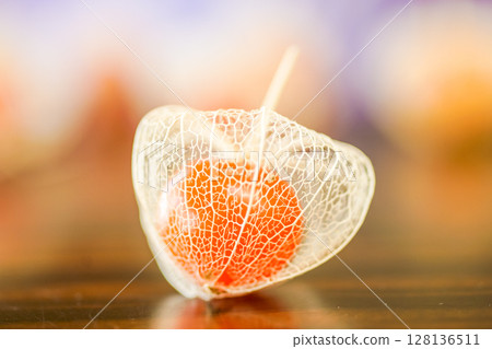 這張照片是在一張桌子上拍攝的,桌子上放著用花園裡種植的日本燈籠植物製成的花絲酸漿果。 這張照片是在一張桌子上拍攝的,桌子上放著用花園裡種植的日本燈籠植物製成的花絲酸漿果。 128136511