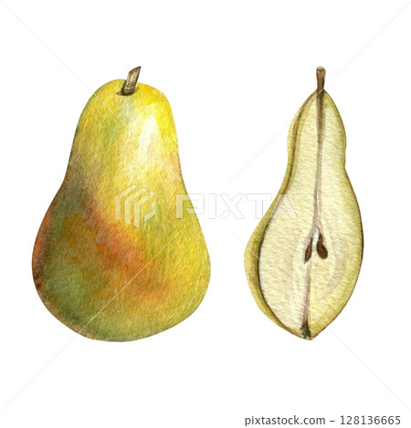 Yellow pear, half of a pear - hand drawn watercolor illustration, isolated on transparent background for fabric, textile, prints, design 128136665