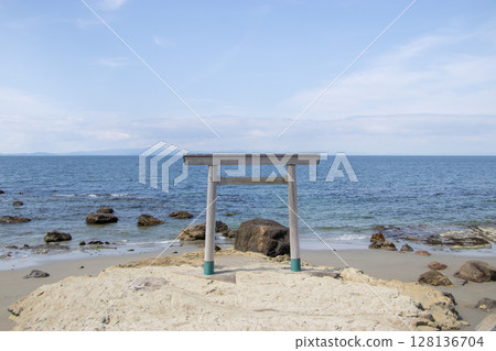 Tsubutegaura 128136704