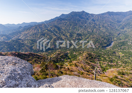 屋久島、阿爾卑斯山近海的太鼓岩山櫻花和新綠（春季） 128137067