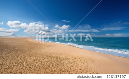 沙灘 128137197