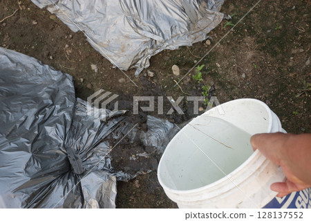 盛夏種植黃瓜的技巧 128137552