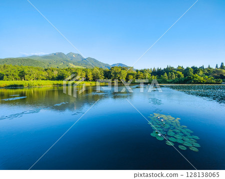 井盛池和妙高山（夏季） 128138065