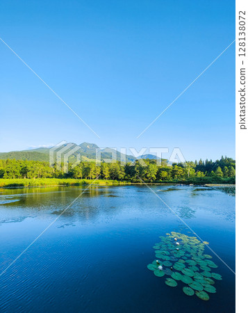 井盛池和妙高山（夏季） 128138072