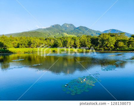 井盛池和妙高山（夏季） 128138073