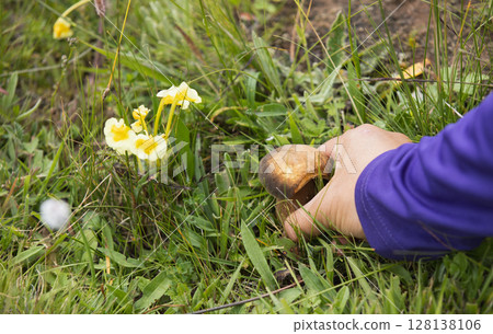 Aerial view of landscape in shenzhen city, China Aerial view of landscape in shenzhen city, China 128138106