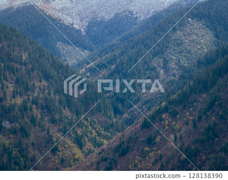 Aerial view of beautiful autumn forest landscape in China 128138390