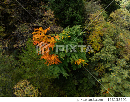Aerial view of beautiful autumn forest landscape in China 128138391
