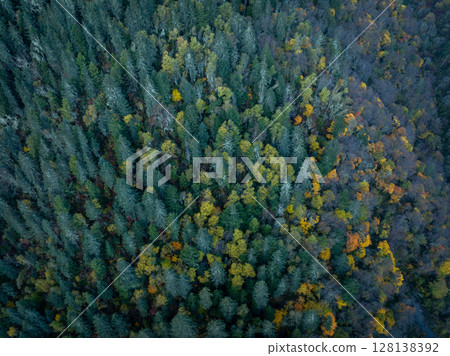 Autumn forest aerial drone view 128138392