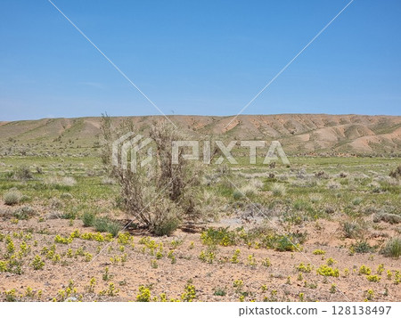 Picturesque View Of The Nature 128138497