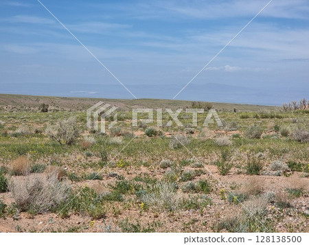 Beautiful View Of The Nature 128138500