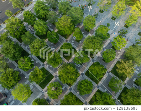 Aerial view of beautiful park landscape 128138693