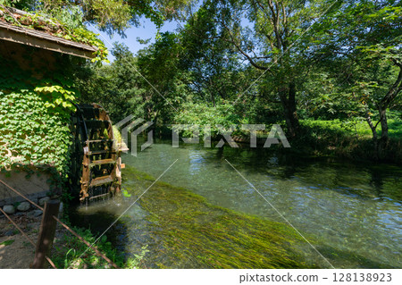 <安曇野>大王山葵農場的水車和美麗溪流的壯麗景色 128138923