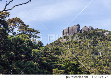 Tofu Rock, Mount Takaban, World Natural Heritage Site, Yakushima (Spring) Tofu Rock, Mount Takaban, World Natural Heritage Site, Yakushima (Spring) 128139176