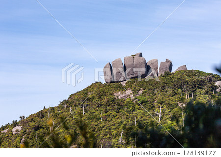Yakushima World Natural Heritage Site - Tofu Rock (Spring) Yakushima World Natural Heritage Site - Tofu Rock (Spring) 128139177