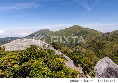 從黑見山眺望世界自然遺產屋久島的宮之浦山和長田山（春季） 128139321
