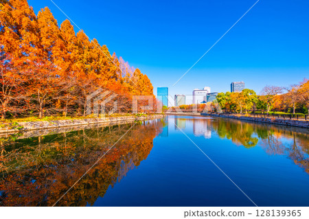 大阪城公園和大阪商業園在秋天 大阪城公園和大阪商業園在秋天 128139365