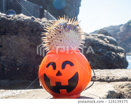 Halloween pumpkin and angry inflatable beautiful porcupine fish Hirizohama Nakagi Minamiizu Town Izu Peninsula Shizuoka Prefecture 2024 Halloween pumpkin and angry inflatable beautiful porcupine fish Hirizohama Nakagi Minamiizu Town Izu Peninsula Shizuoka Prefecture 2024 128139375