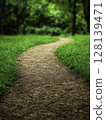 Serene Winding Path Through Lush Green Grass in a Tranquil Natural Environment 128139471